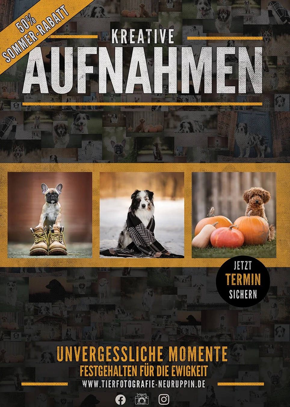 Flyer: 50 Prozent Sommer-Rabatt auf kreative Hundefotografie bei Tierfotografie Neuruppin